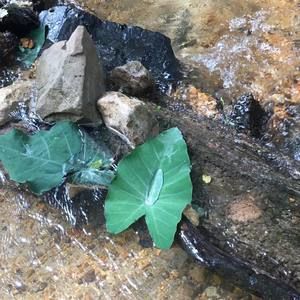 Meet your Posher, Shelly